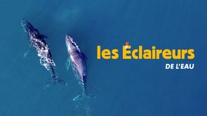 Les éclaireurs de l'eau, Doc. Nature, Sur CANAL+